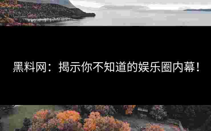 黑料网：揭示你不知道的娱乐圈内幕！