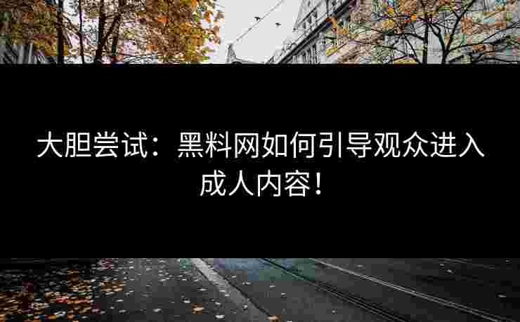 大胆尝试：黑料网如何引导观众进入成人内容！