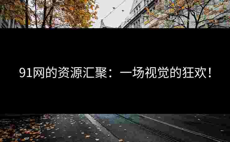 91网的资源汇聚：一场视觉的狂欢！