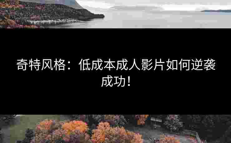 奇特风格：低成本成人影片如何逆袭成功！
