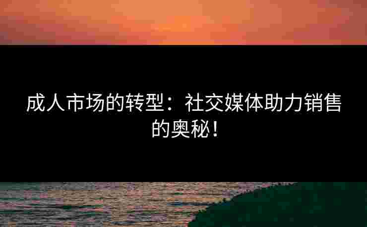 成人市场的转型：社交媒体助力销售的奥秘！