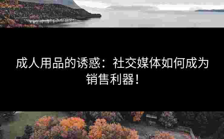 成人用品的诱惑：社交媒体如何成为销售利器！